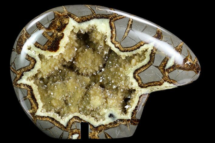 Calcite Crystal Filled, Polished Septarian Bear - Utah #123852